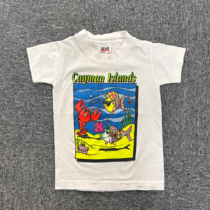 [Anvil ; KIDs]90s vintage t-shirt, made in u.s.a(5 ~ 7T)